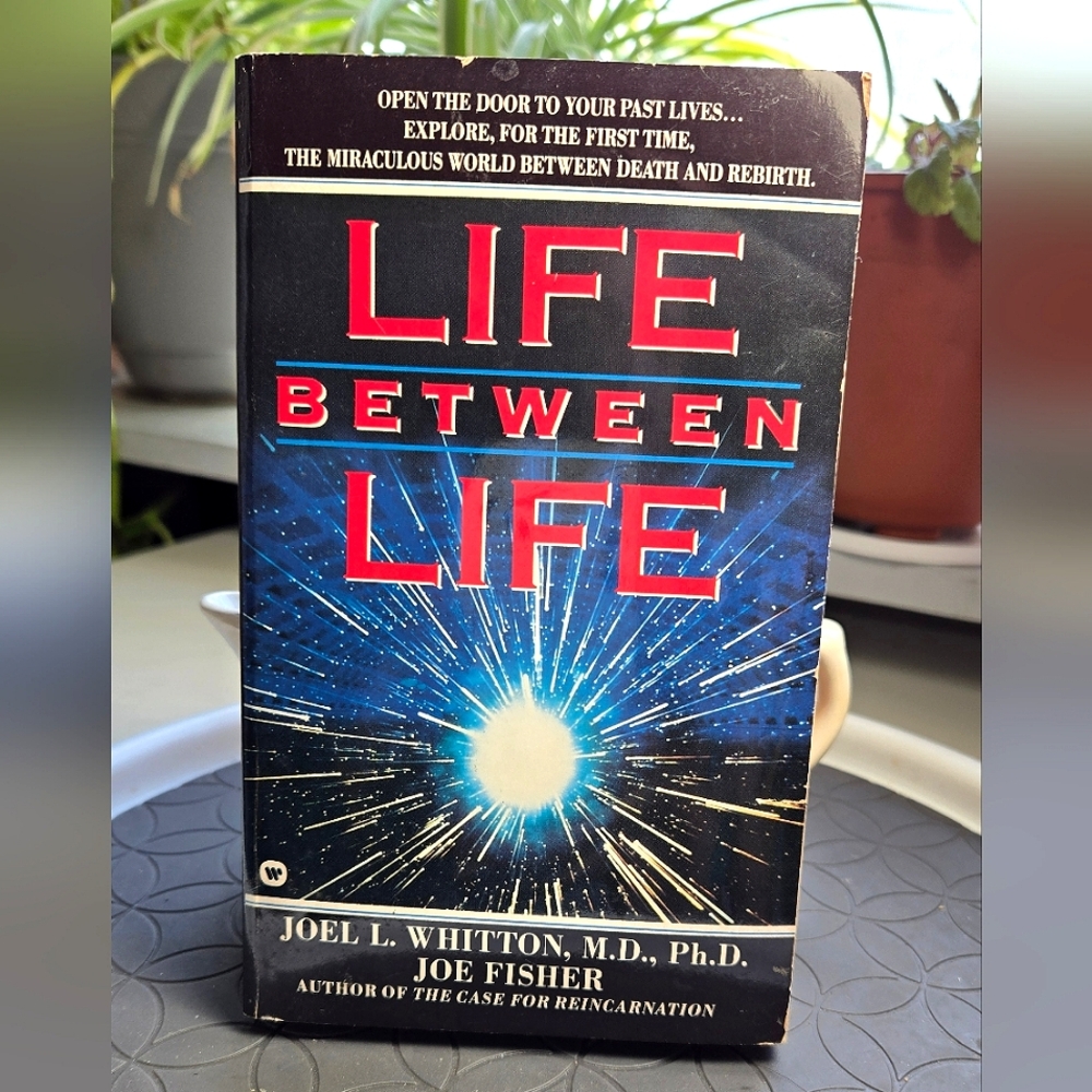 Life Between Life By Joel L Whitton MD PhD